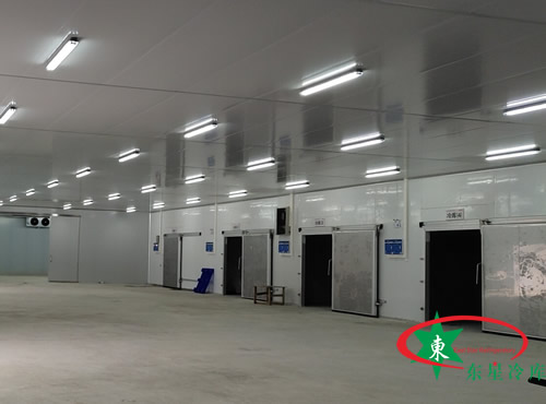 贵州韭黄基地冷库