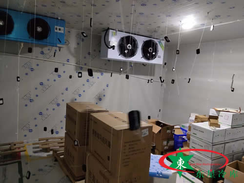 东莞国药医药冷库