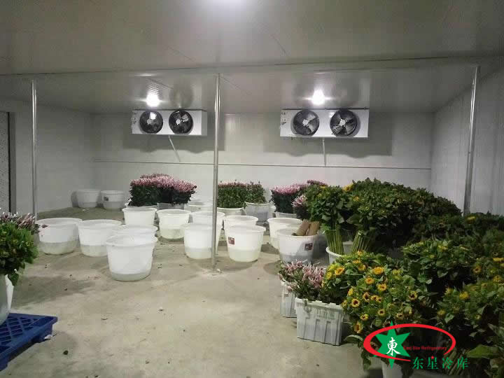 鲜花冷库