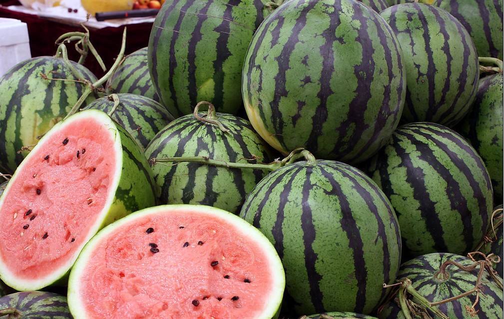 保鲜冷库 保鲜冷库