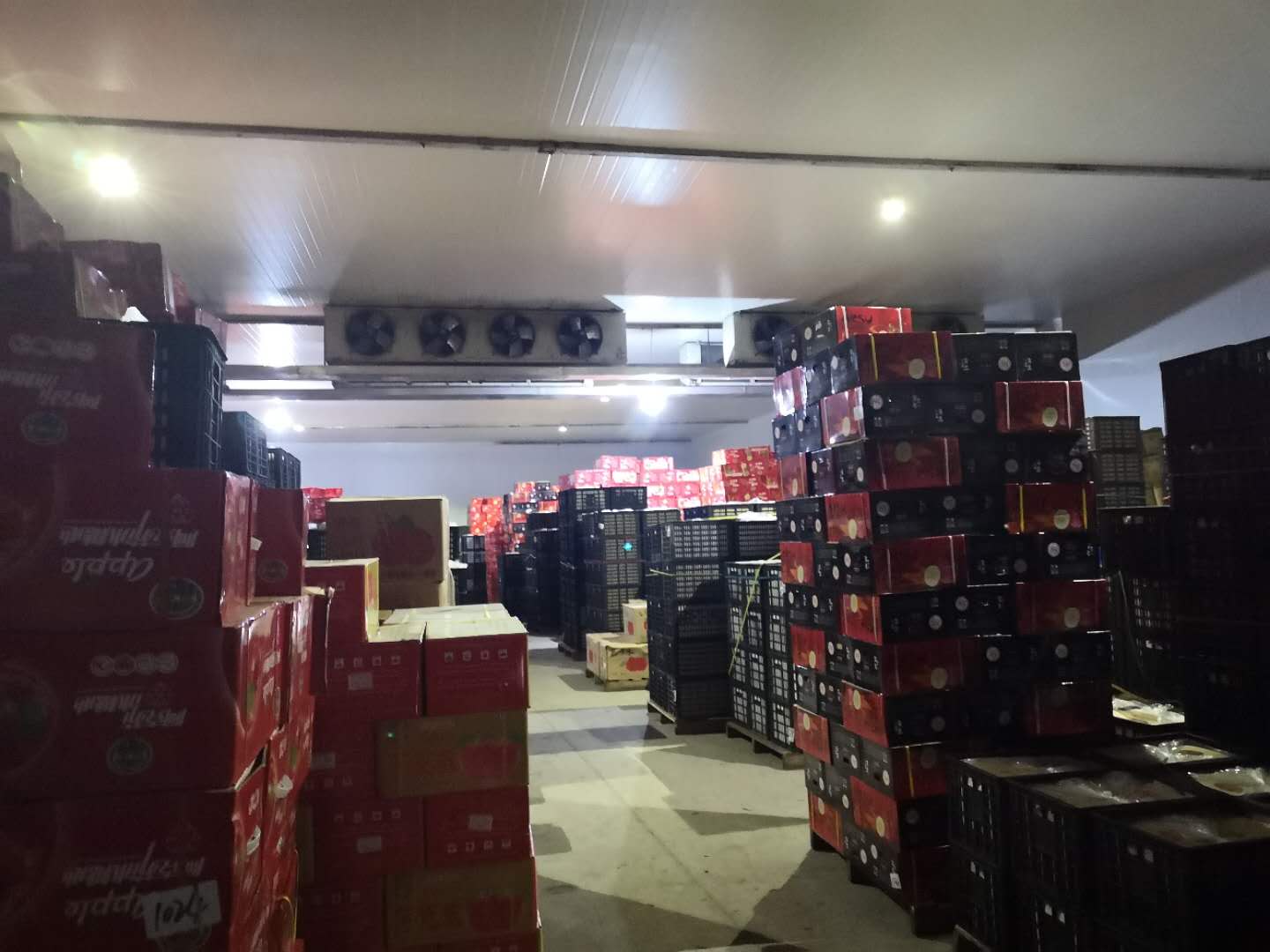 保鲜冷库 保鲜冷库