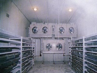 速冻冷库 速冻冷库