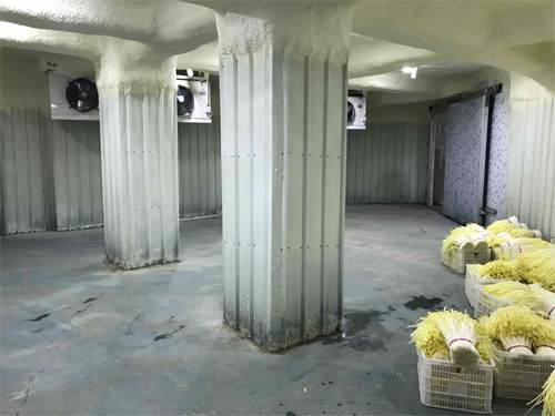 冷库 冷库