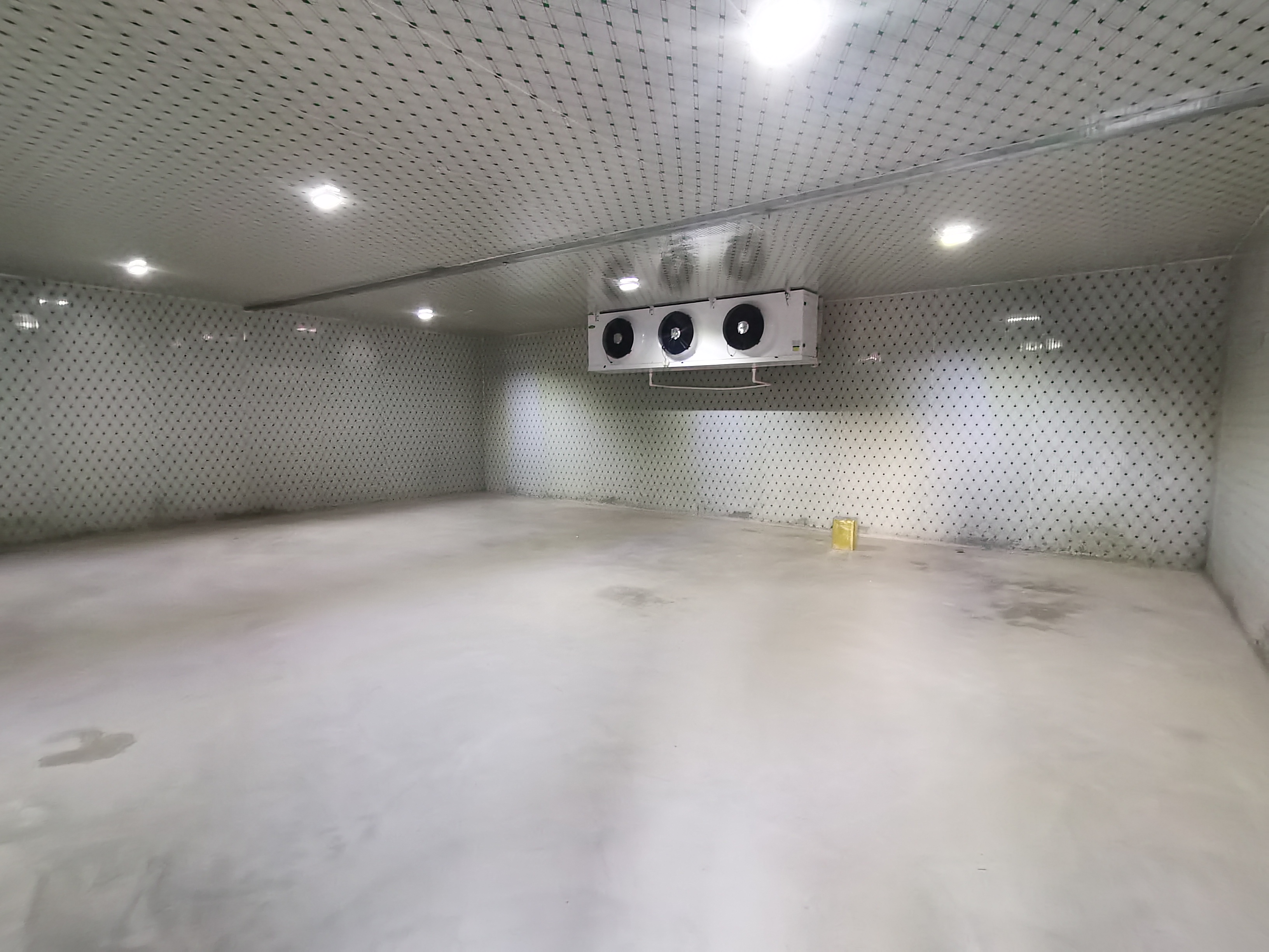 批发市场蔬菜保鲜库